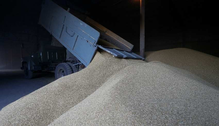 Rusya el koyduğu tahılları Türkiye üzerinden Suriye ve Mısır a satıyor